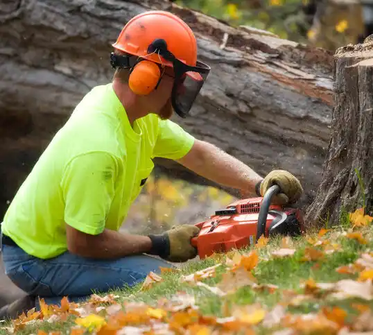 tree services Catonsville